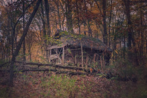 old home in Southern Illinois