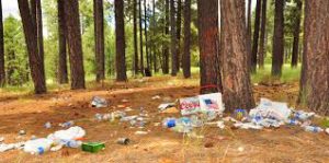 trash in the forest